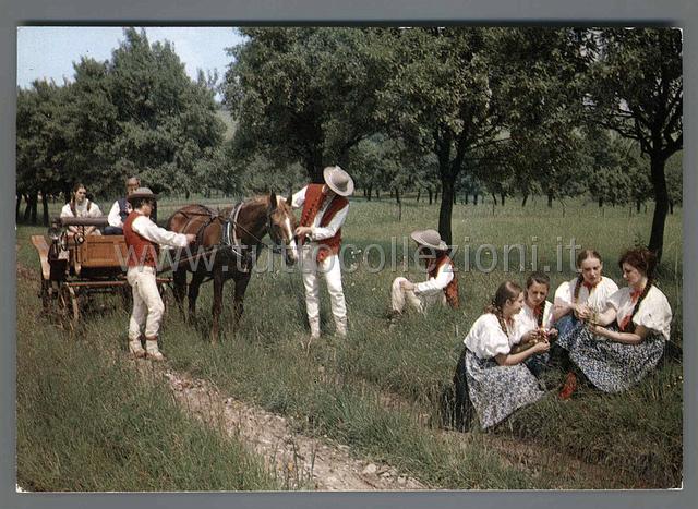 Collezionismo di cartoline postali